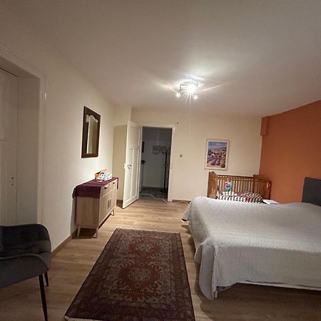 Bel Appartement En Rdc Proche Strasbourg Nice Apartment Very Near Strasbourg Ngoại thất bức ảnh